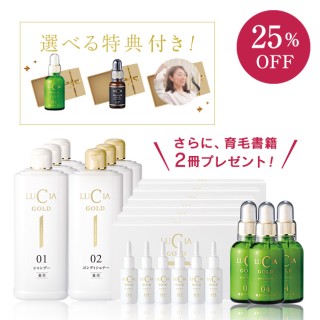1年セット