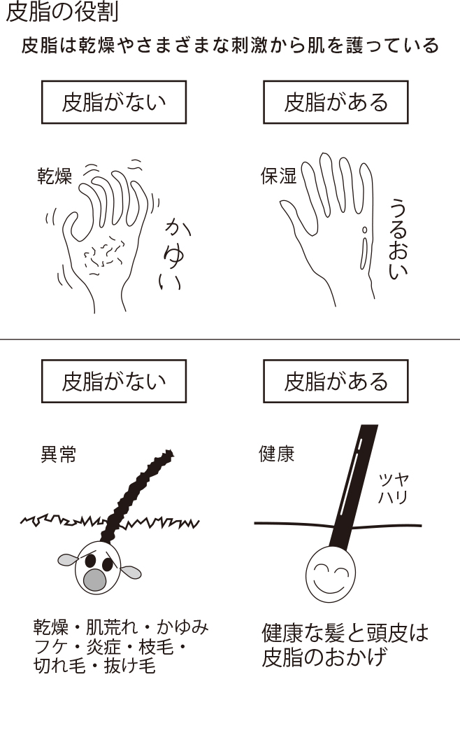 第1章 髪の成長に必要な条件と脱毛症の要因 育毛シャンプー 育毛剤ルチア