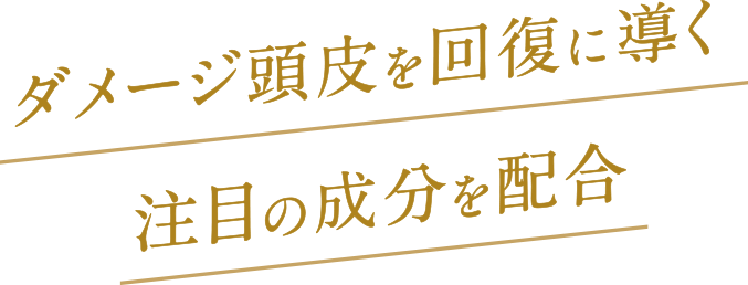 ダメージ頭皮を回復に導く注目の成分を配合