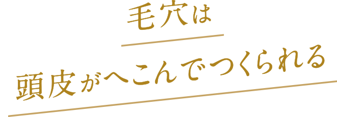 毛穴は頭皮がへこんでつくられる