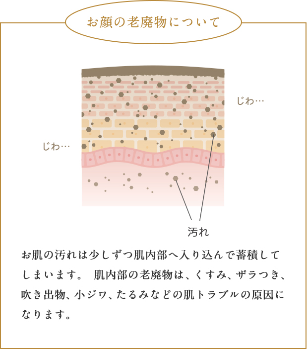 お顔の老廃物について