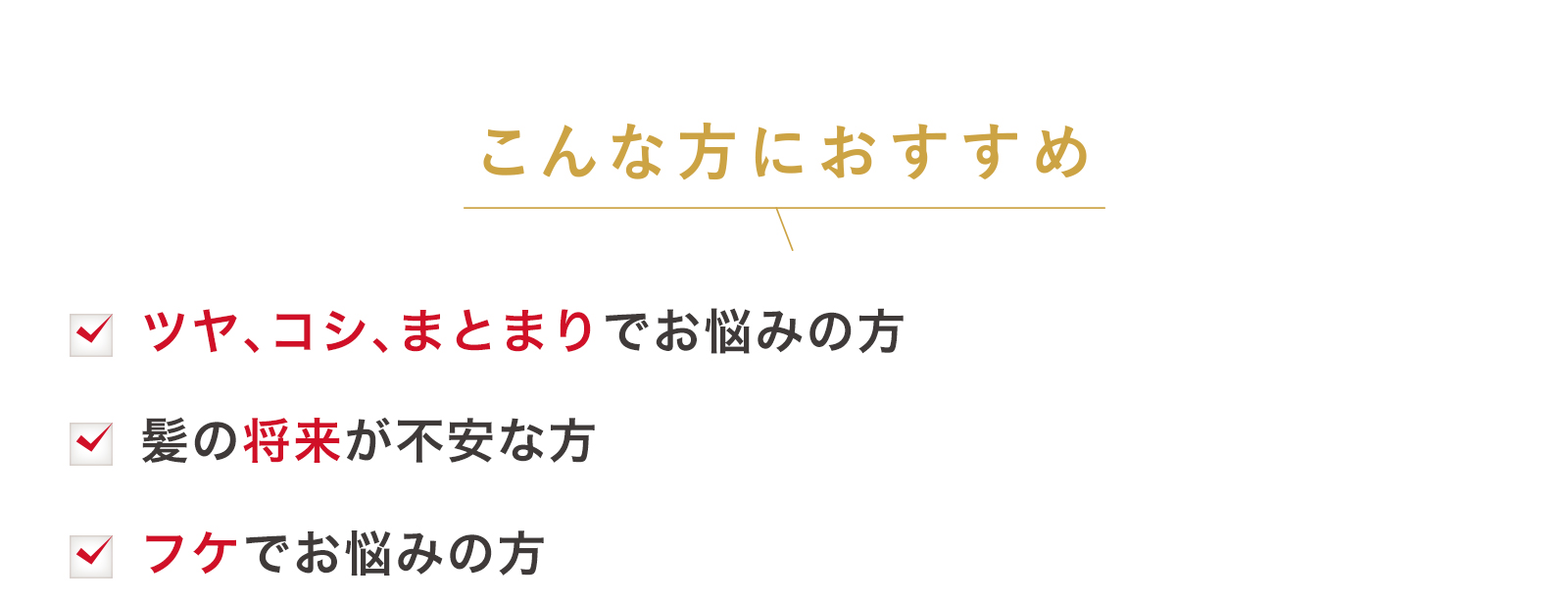 こんな方におすすめ！
