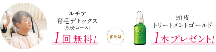 うれしい選べる特典つき!