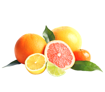 柑橘の香り