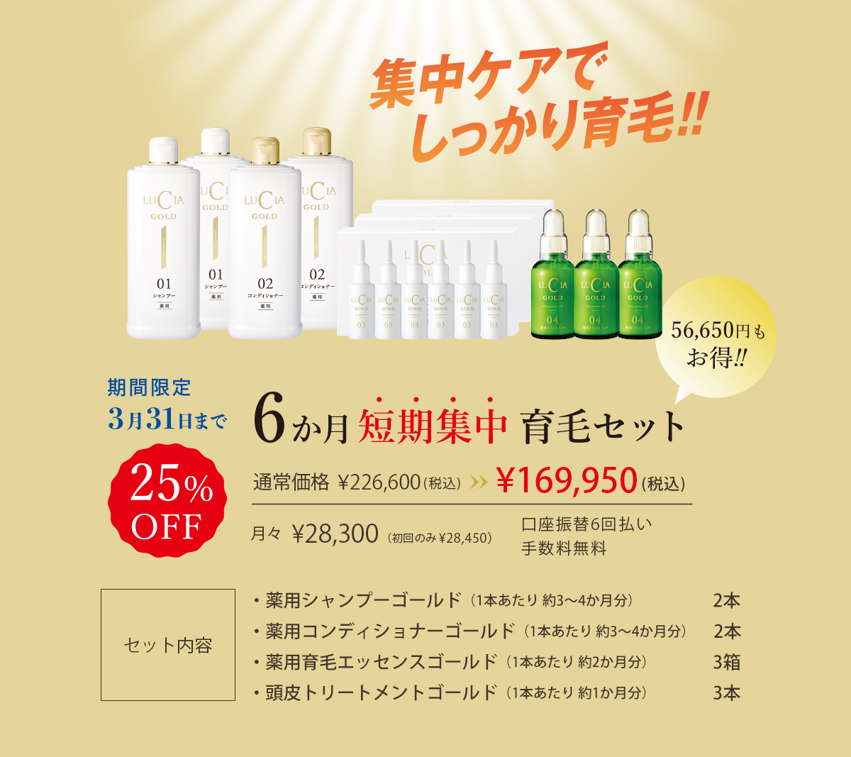 ６か月短期集中育毛セット