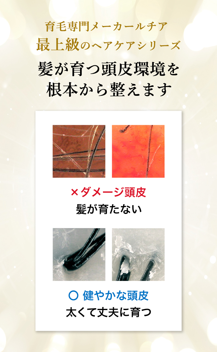 頭皮