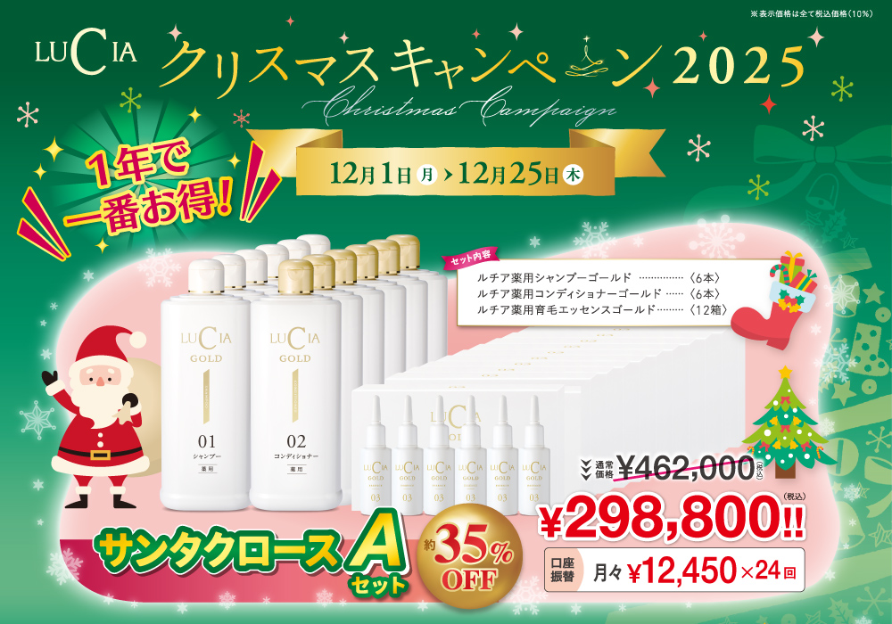 サンタクロースセットA