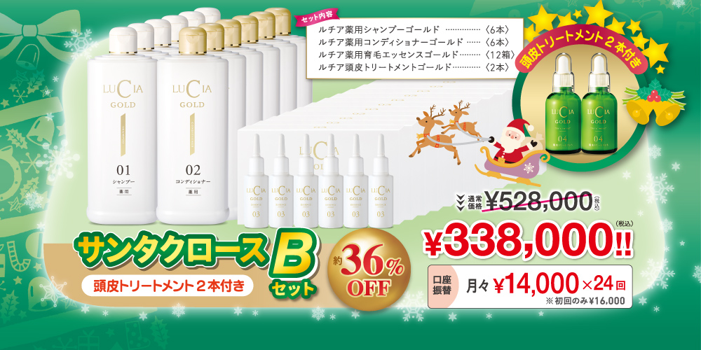 サンタクロースセットB