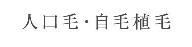 人口毛・地毛植毛