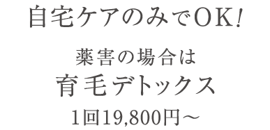 自完ケアのみでOK！薬害脱毛の場合は育毛デトックス1回19,800円～