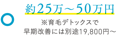 約25万~50万円※育毛デトックスで早期改善には別途19,800円~