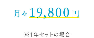 月々19,800円※1年セットの場合