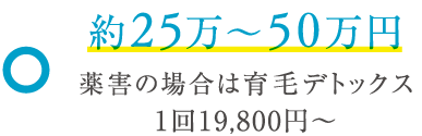 約25万~50万円※育毛デトックスで早期改善には別途19,800円~