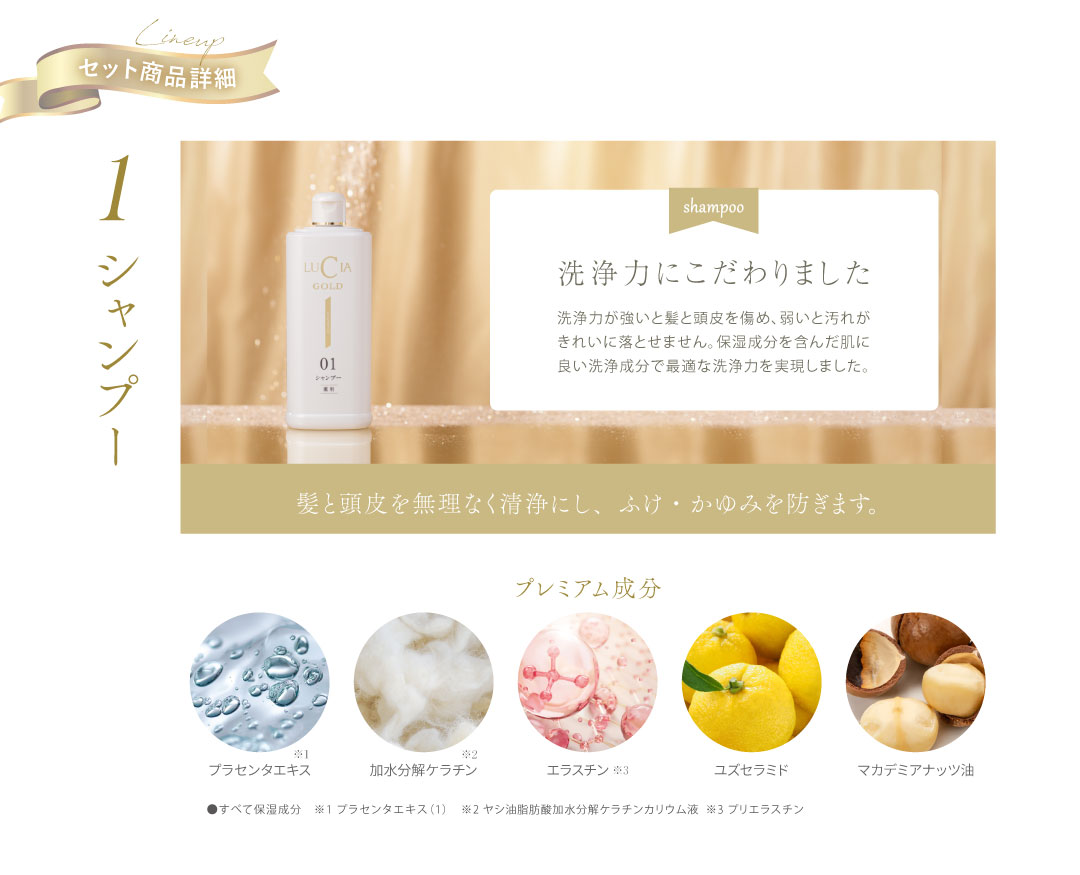 セット商品詳細：１シャンプー