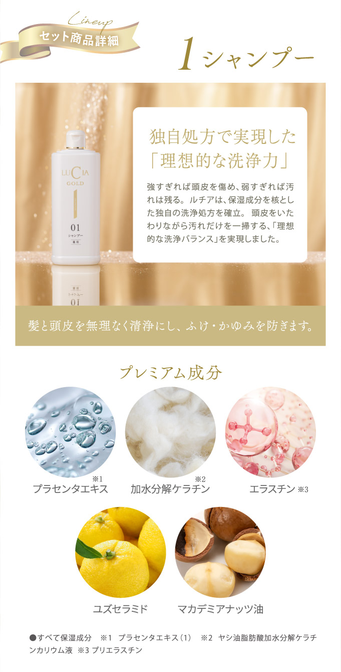 セット商品詳細：１シャンプー