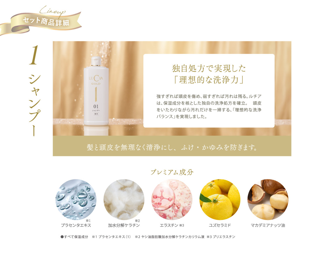 セット商品詳細：１シャンプー