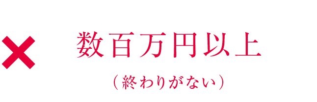 数百万円以上（終わりがない）