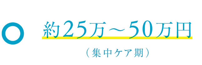 約25万〜50万円（集中ケア期）