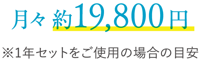 月々 約19,800円　※1年セットをご使用の場合の目安