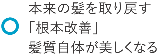 本来の髪を取り戻す「根本改善」髪質自体が美しくなる