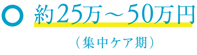 約25万～50万円（集中ケア期）