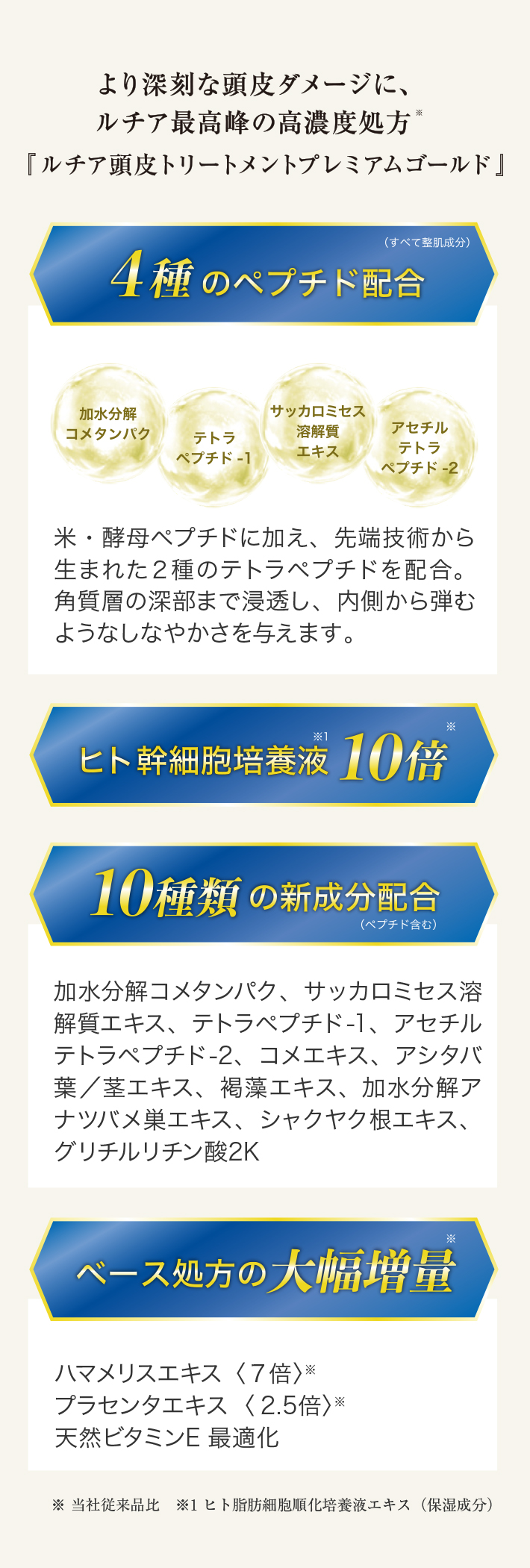 説明