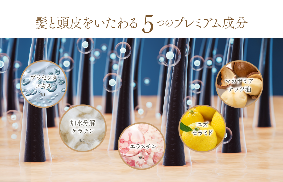 髪と頭皮をいたわる5つのプレミアム成分