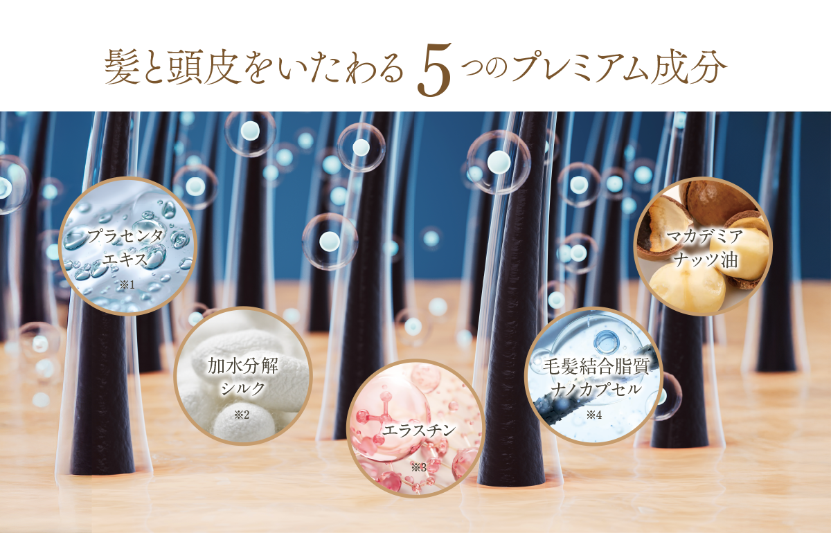 髪と頭皮をいたわる5つのプレミアム成分