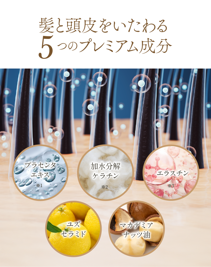 髪と頭皮をいたわる5つのプレミアム成分