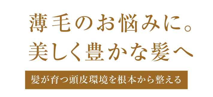 薄毛のお悩みに。美しく豊かな髪へ 髪が育つ頭皮環境を根本から整える