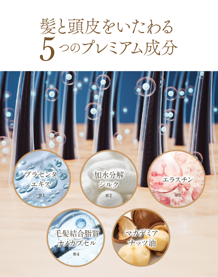髪と頭皮をいたわる5つのプレミアム成分