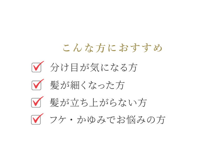 こんな方におすすめ（分け目が気になる方　髪が細くなった方　髪が立ち上がらない方　フケ・かゆみでお悩みの方）