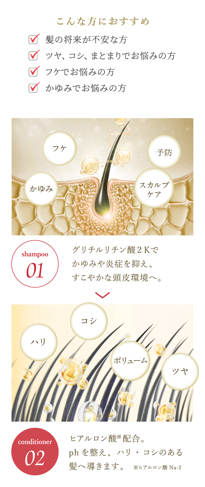 こんな方におすすめ(髪の将来が不安な方 ツヤ、コシ、まとまりでお悩みの方 フケでお悩みの方 かゆみでお悩みの方)ヒアルロン酸※配合。phを整え、ハリ・コシのある髪へ導きます。