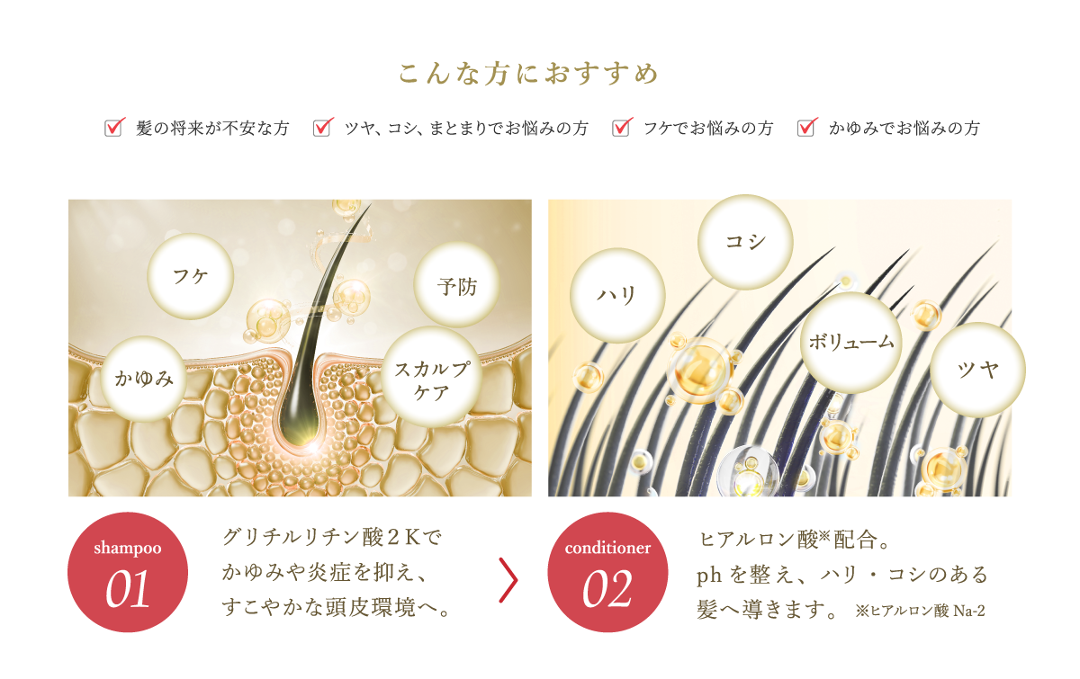 こんな方におすすめ(髪の将来が不安な方 ツヤ、コシ、まとまりでお悩みの方 フケでお悩みの方 かゆみでお悩みの方)グリチルリチン酸2Kでかゆみや炎症を抑え、すこやかな頭皮環境へ。→ヒアルロン酸※配合。phを整え、ハリ・コシのある髪へ導きます。