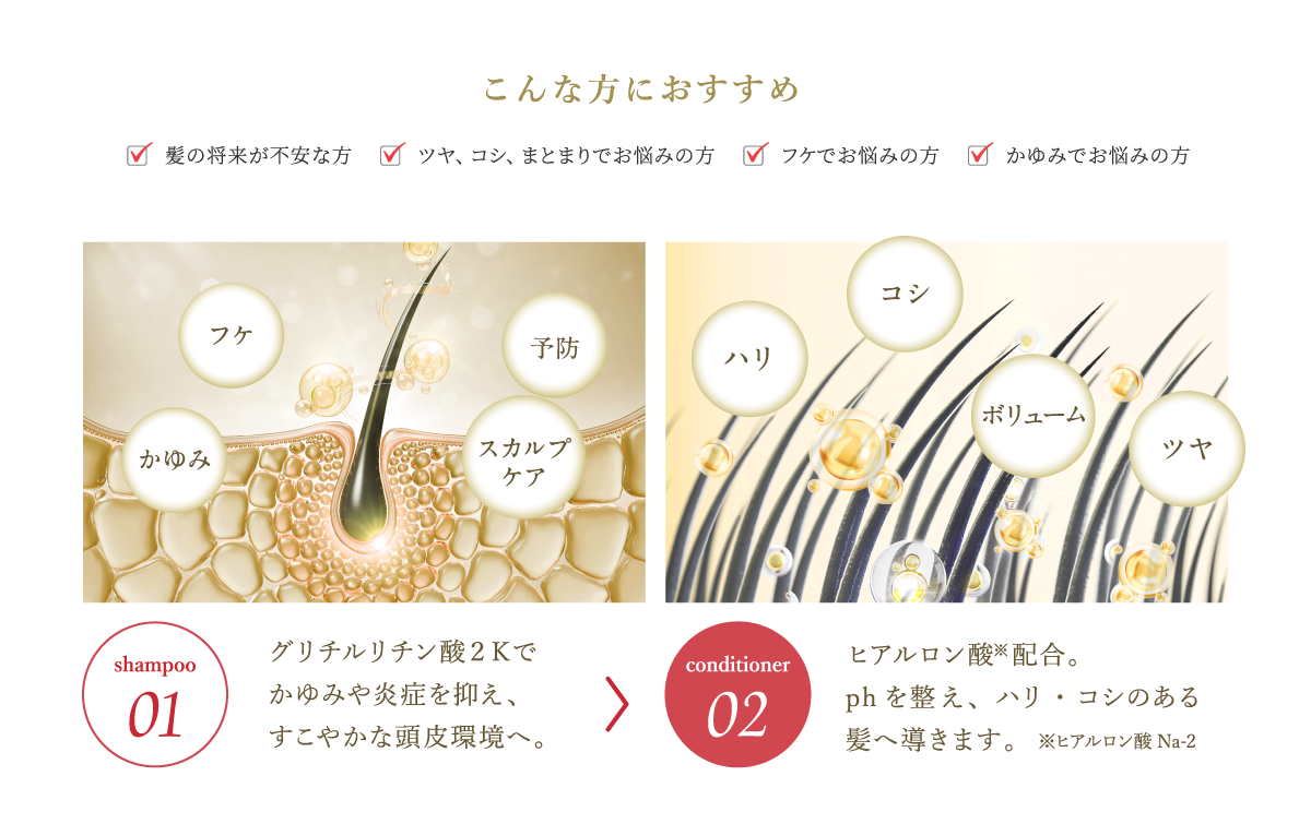 こんな方におすすめ(髪の将来が不安な方 ツヤ、コシ、まとまりでお悩みの方 フケでお悩みの方 かゆみでお悩みの方)ヒアルロン酸※配合。phを整え、ハリ・コシのある髪へ導きます。