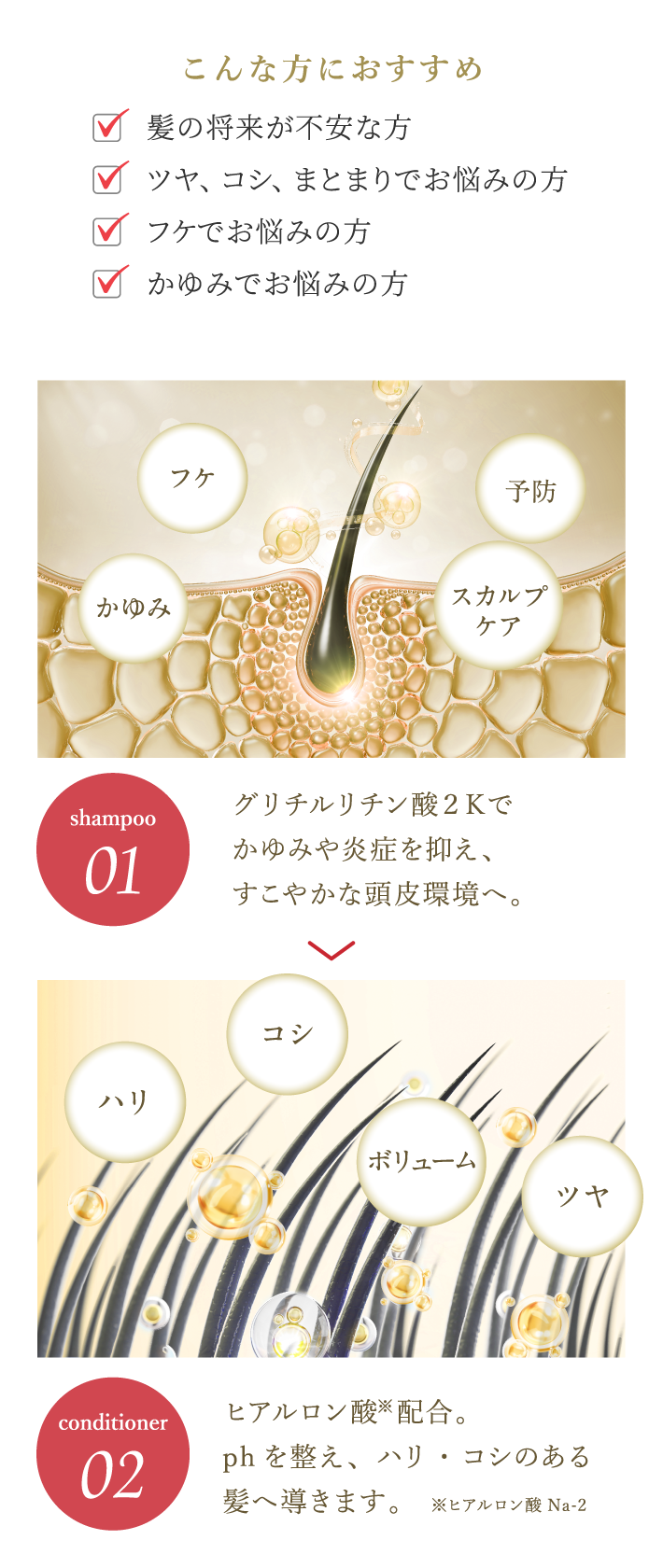 こんな方におすすめ(髪の将来が不安な方 ツヤ、コシ、まとまりでお悩みの方 フケでお悩みの方 かゆみでお悩みの方)グリチルリチン酸2Kでかゆみや炎症を抑え、すこやかな頭皮環境へ。→ヒアルロン酸※配合。phを整え、ハリ・コシのある髪へ導きます。