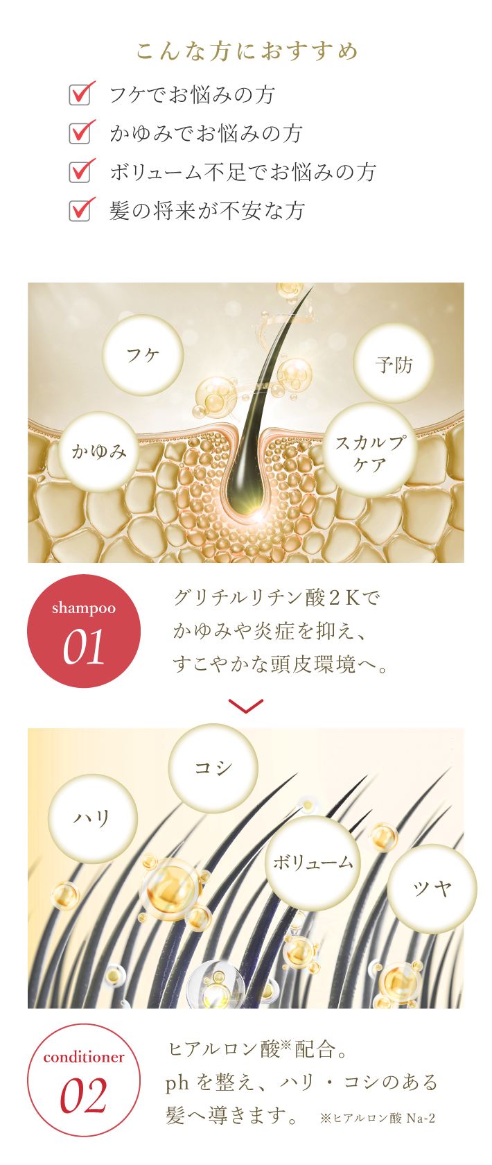 こんな方におすすめ（フケでお悩みの方　かゆみでお悩みの方　ボリューム不足でお悩みの方　髪の将来が不安な方）グリチルリチン酸２Ｋでかゆみや炎症を抑え、すこやかな頭皮環境へ。