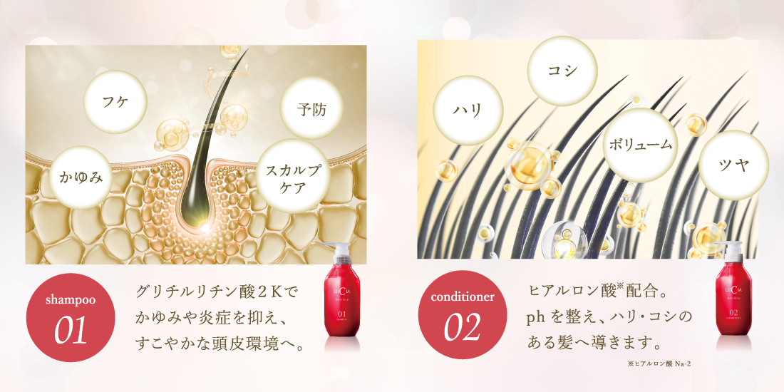 フケ、かゆみ、予防、スカルプケア、ボリューム、ツヤ、ハリ、コシ　（シャンプー）グリチルリチン酸２Ｋでかゆみや炎症を抑え、すこやかな頭皮環境へ。（コンディショナー）ヒアルロン酸※配合。phを整え、ハリ・コシのある髪へ導きます。※ヒアルロン酸Na-2