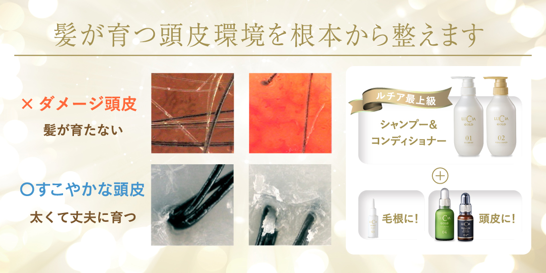 髪が育つ頭皮環境を根本から整えます：×ダメージ頭皮（髪が育たない）〇すこやかな頭皮（太くて丈夫に育つ）ルチア最上級シャンプー＆コンディショナー、毛根に！育毛エッセンス、頭皮に！頭皮トリートメント