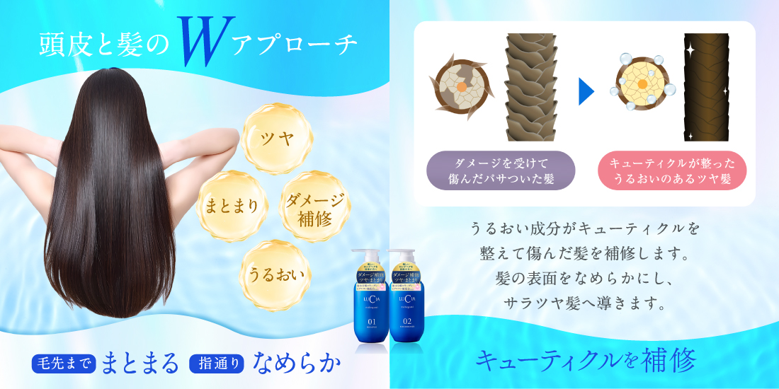 頭皮と髪のWアプローチ（ツヤ、まとまり、ダメージ補修、うるおい）毛先までまとまる指通りなめらか「キューティクルを補修」うるおい成分がキューティクルを整えて傷んだ髪を補修します。髪の表面をなめらかにし、サラツヤ髪へ導きます。