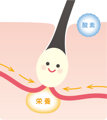健やかな頭皮図